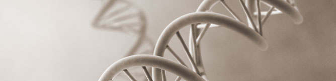 Restriction Endonucleases